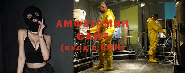 шишки Арсеньев