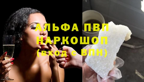шишки Арсеньев