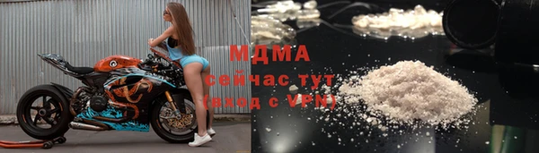 шишки Арсеньев