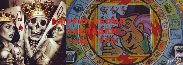 шишки Арсеньев