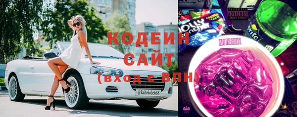 шишки Арсеньев