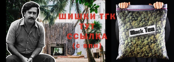 шишки Арсеньев