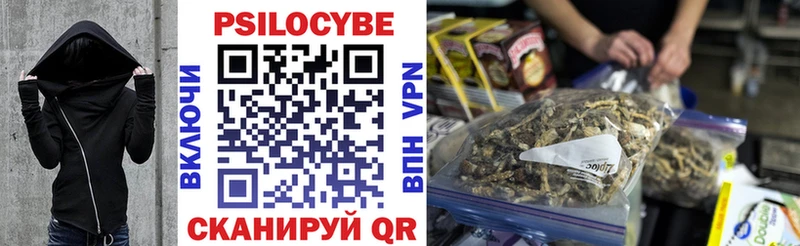 Псилоцибиновые грибы Psilocybe Обоянь