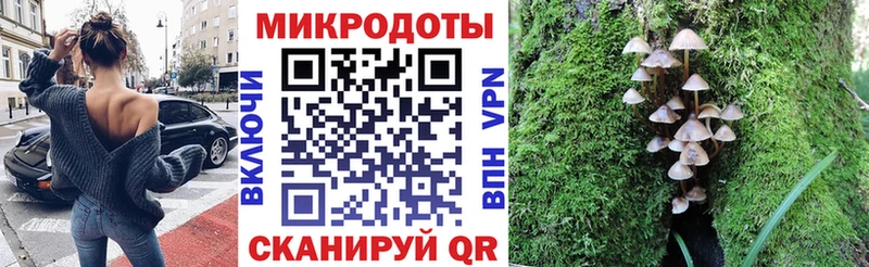 Псилоцибиновые грибы Cubensis  Обоянь 